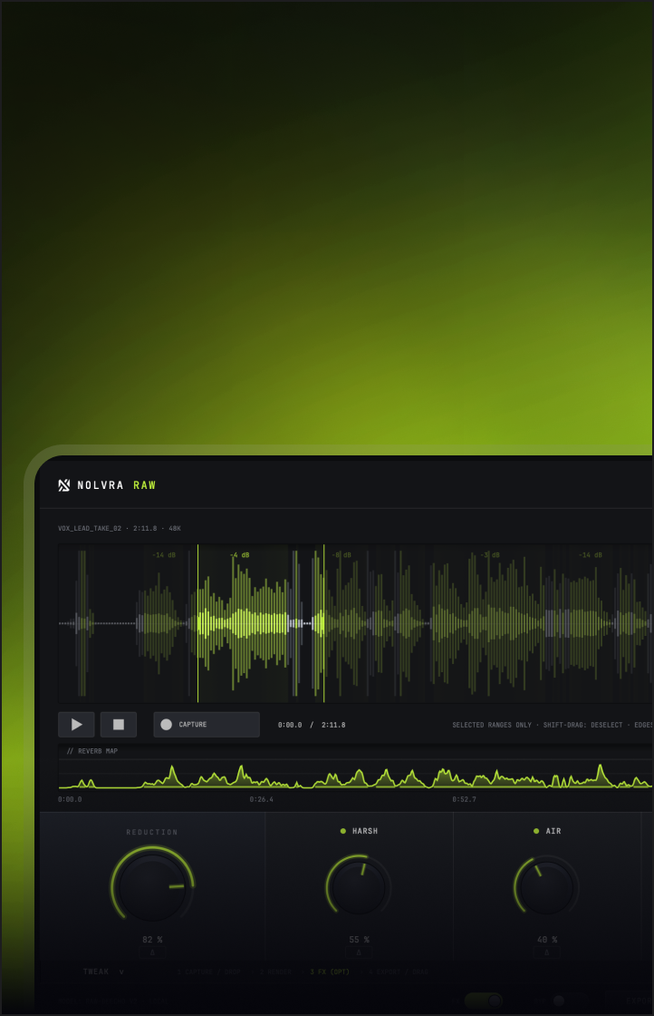 RAW plugin interface
